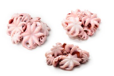 Ahtapot beyaz arkaplanda izole edildi. 