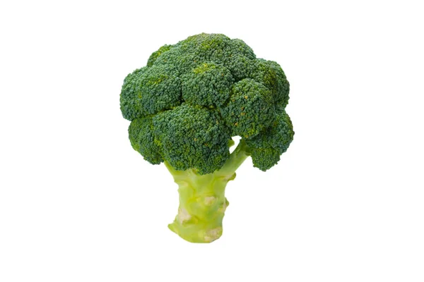 Verse Smakelijke Broccoli Geïsoleerd Witte Achtergrond — Stockfoto