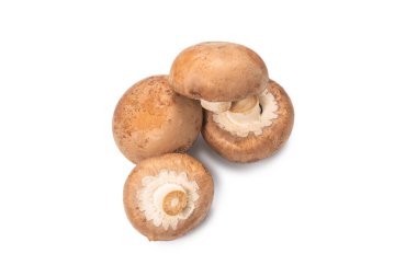 Beyaz arka planda izole edilmiş lezzetli mantar..