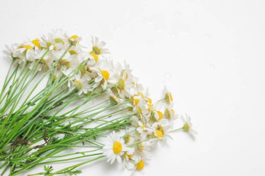 Beyaz arka planda izole edilmiş bir buket papatya..