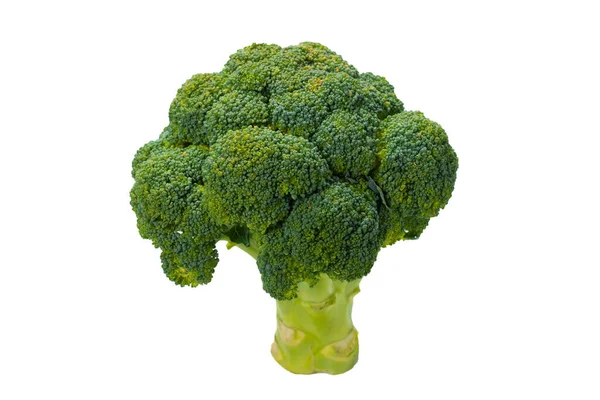 Verse Smakelijke Broccoli Geïsoleerd Witte Achtergrond — Stockfoto