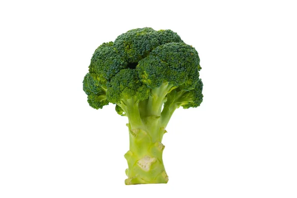 Fresh Tasty Broccoli Isolated White Background — Stock Photo, Image