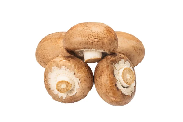 白色背景的香菇 — 图库照片