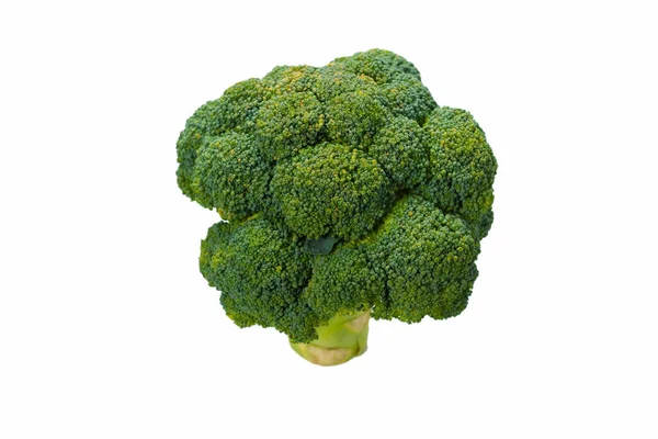 Fresh Tasty Broccoli Isolated White Background — Stock Photo, Image