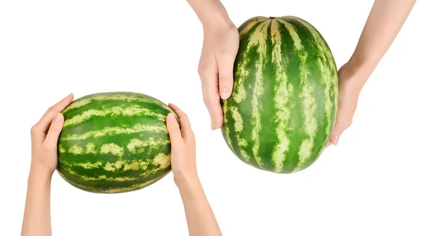 Pastèque Dans Les Mains Isolées Sur Blanc Vue Dessus — Photo