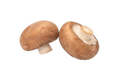 Beyaz arka planda izole edilmiş lezzetli mantar..