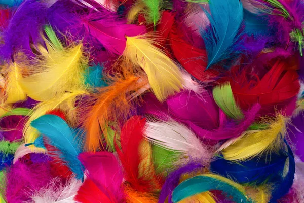 Plumas de colores fotos de stock, imágenes de Plumas de colores sin  royalties