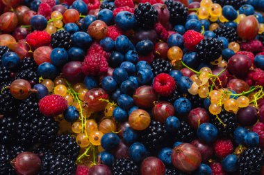 Bektaşi üzümü, yabanmersini, dut, ahududu, beyaz arka planda izole edilmiş beyaz ve kırmızı üzümler. 