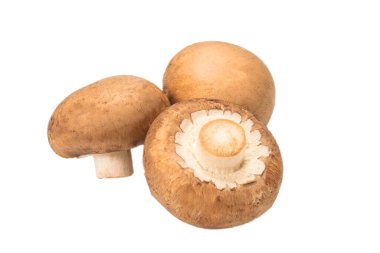 Beyaz arka planda izole edilmiş lezzetli mantar..