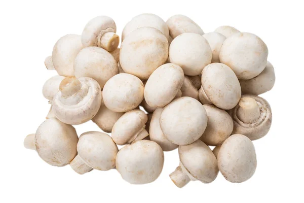 Champignon Mushroom Isolated White Background Top View — Stock Photo, Image