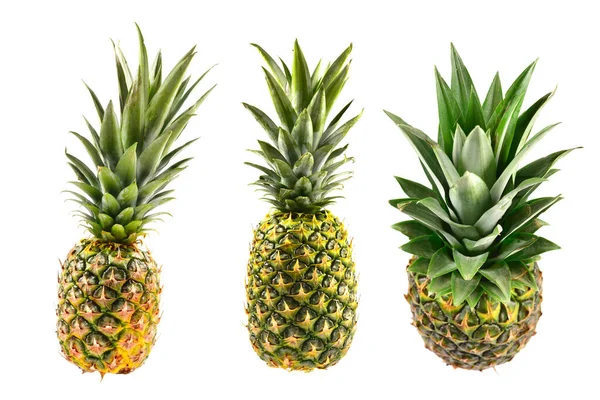 Ananas Geïsoleerd Wit — Stockfoto