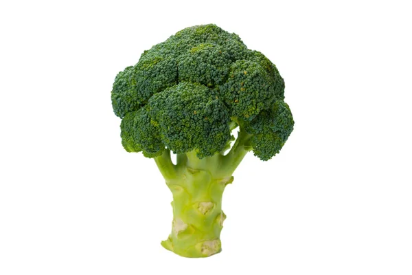 Verse Smakelijke Broccoli Geïsoleerd Witte Achtergrond — Stockfoto