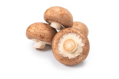 Beyaz arka planda izole edilmiş lezzetli mantar..