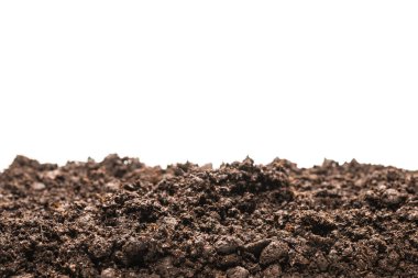 Bitkiler için kara toprak. Üst görünüm. 