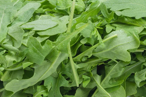 Verse Bladeren Van Arugula Als Achtergrond — Stockfoto