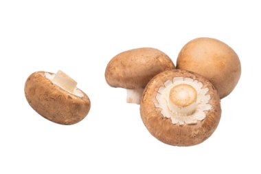 Beyaz arka planda izole edilmiş lezzetli mantar..