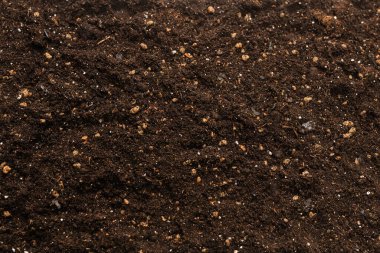 Bitkiler için kara toprak. Üst görünüm. 
