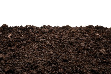 Beyaz arka planda izole edilmiş bitkiler için kara toprak. 