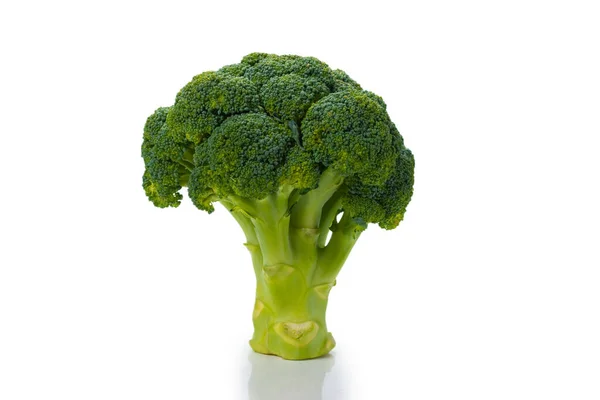 Fresh Tasty Broccoli Isolated White Background — Stock Photo, Image