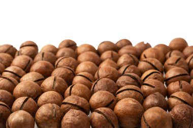 Beyaz arka planda izole edilmiş kabuklu Macadamia fındıkları. Üst görünüm.