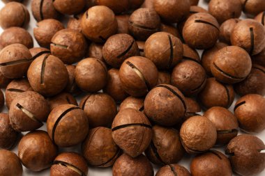Beyaz arka planda izole edilmiş kabuklu Macadamia fındıkları. Üst görünüm.