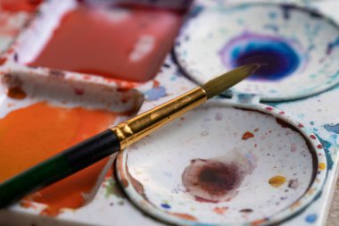 Poster renk, fırçalar ve renkli boya ile plastik palet.