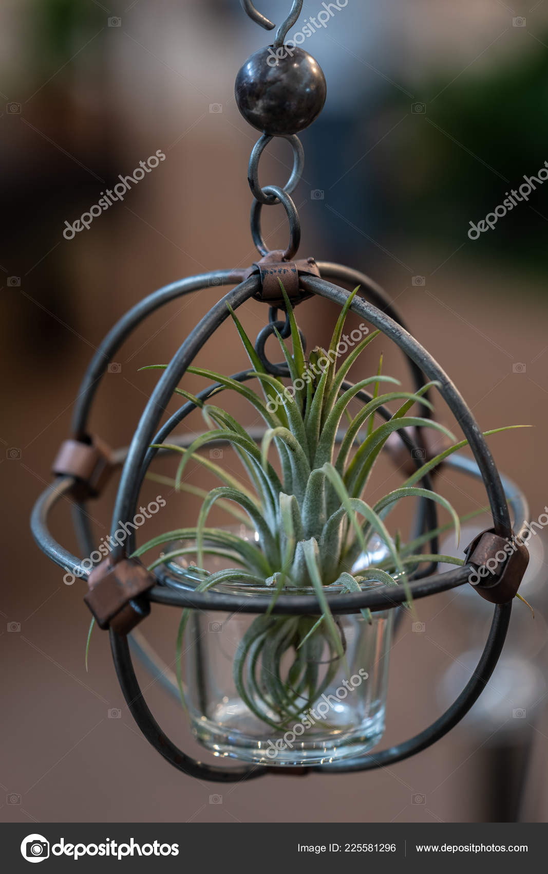 Fake Artificial Bromeliads Grass Air Plants Succulents Garden Home Decoration 