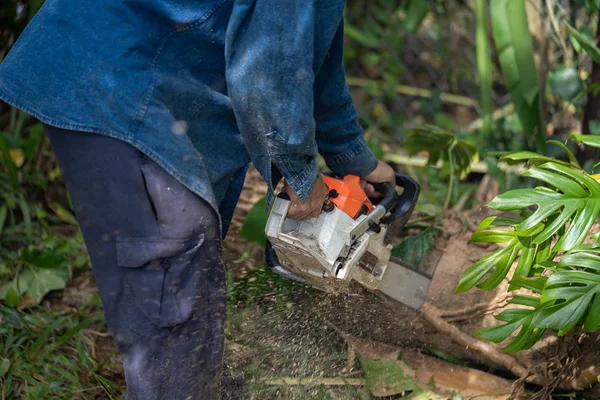 Hombre Corta Árboles Talando Árboles Con Motosierra Ocupación Cut Tree — Foto de Stock