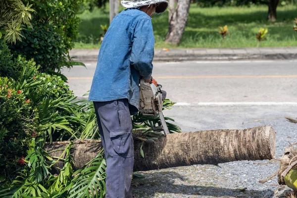 Man Snijdt Boom Kappen Boom Met Een Kettingzaag Bezetting Snijden — Stockfoto