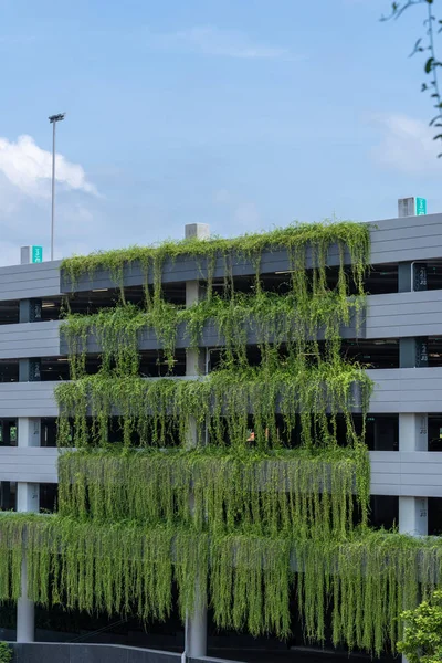 Современное Здание Гаража Покрытое Растением Внешнее Оформление Стоковое Фото