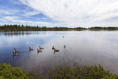Prince Edward Island Kanada manzaraları