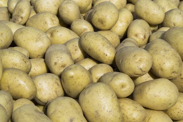 Shot Fresh Potato Photo Market Place — Stock Photo, Image