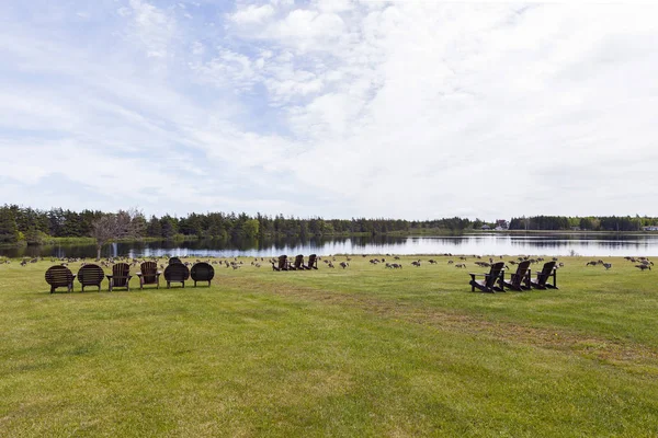 Vista Sulla Natura Dall Isola Del Principe Edoardo Canada — Foto Stock