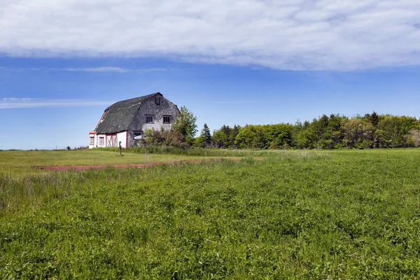 Vistas Naturaleza Desde Prince Edward Island Canada — Foto de Stock