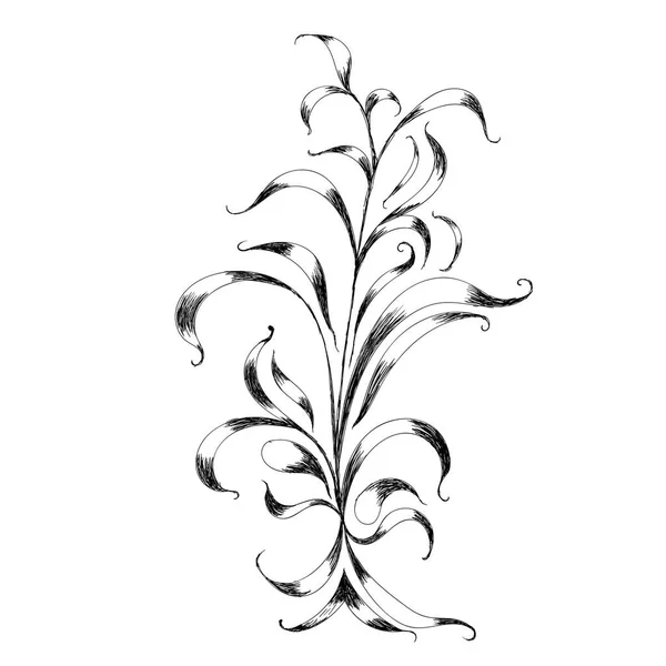 Frontiera florală din colţ. Element de design decorativ — Vector de stoc