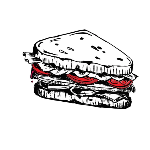 Esboço de sanduíche. com tomates e ervas . — Vetor de Stock
