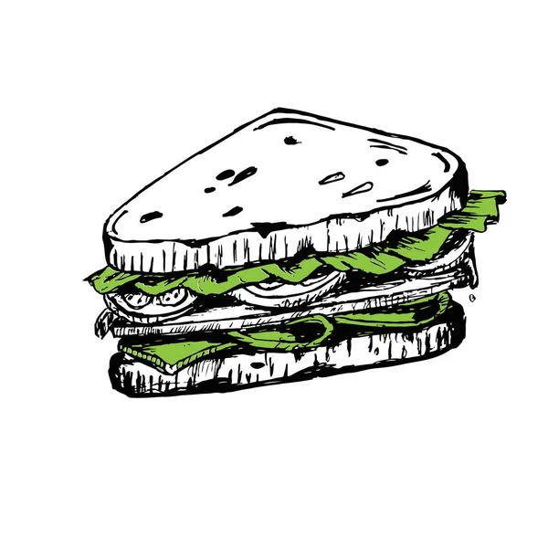 サンドイッチのスケッチ。トマトとハーブの. — ストックベクタ