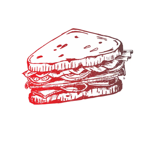 Σκίτσο του σάντουιτς. με ντομάτα και βότανα. — Διανυσματικό Αρχείο