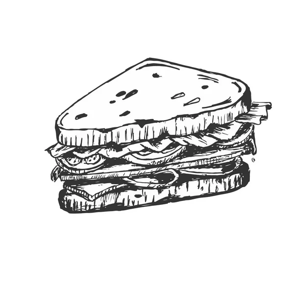 Croquis de sandwich. avec des tomates et des herbes . — Image vectorielle