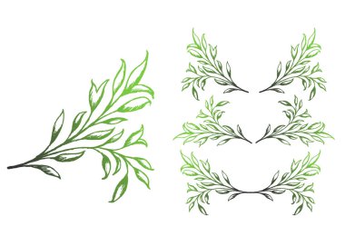 Vintage elle çizilmiş ağaç dallar kümesi.