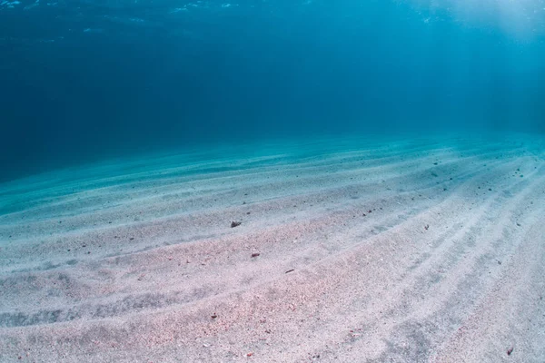 砂浜海底 — ストック写真