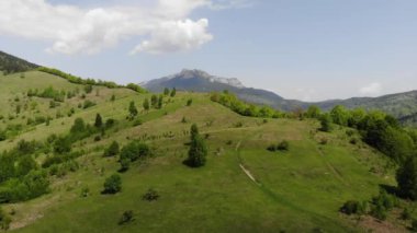 Uçan bir güzel bahar peyzaj abobe çayır, yeşil orman ve dağ havadan görünümü