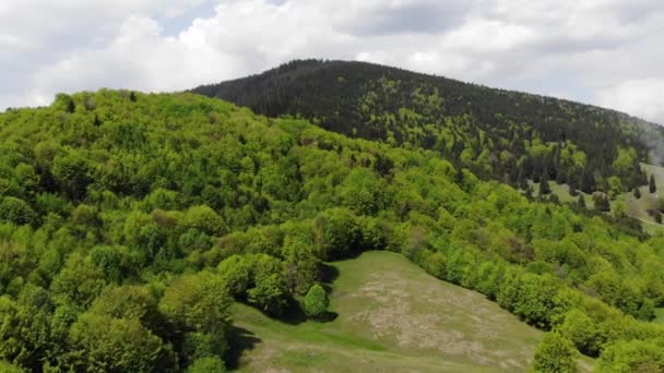 山と緑の森の上のドローンと空 森林樹で 春の空撮 — ストック動画