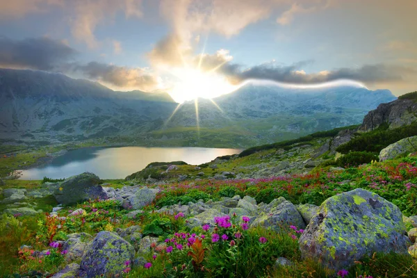 Paysage Estival Coucher Soleil Avec Lac Montagne Nombreuses Fleurs Dans — Photo
