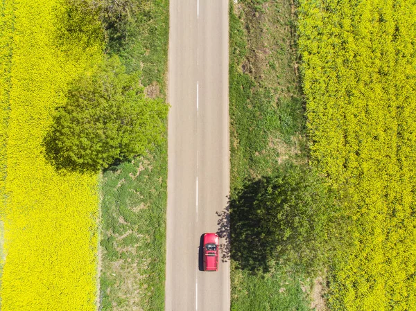 Powyżej Widok Czerwony Samochód Jazdy Drodze Między Polem Żółty Rzepak — Zdjęcie stockowe