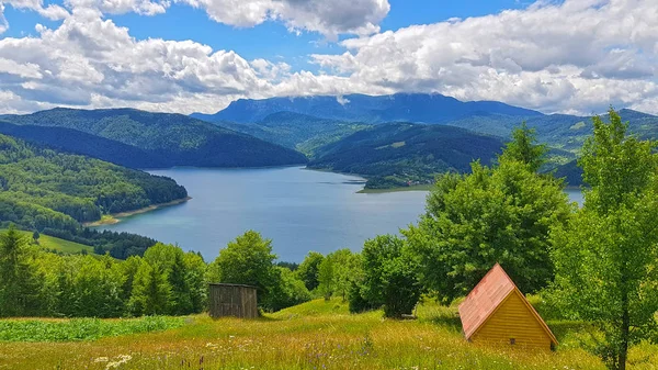 Sommerlandschaft See Und Grüner Wald Hütten Und Eine Wiese — Stockfoto