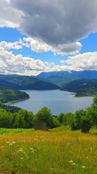 Летний Зеленый Пейзаж Озеро Горы — стоковое фото