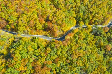 Sonbahar Ormanı geçerken iz havadan görünümü