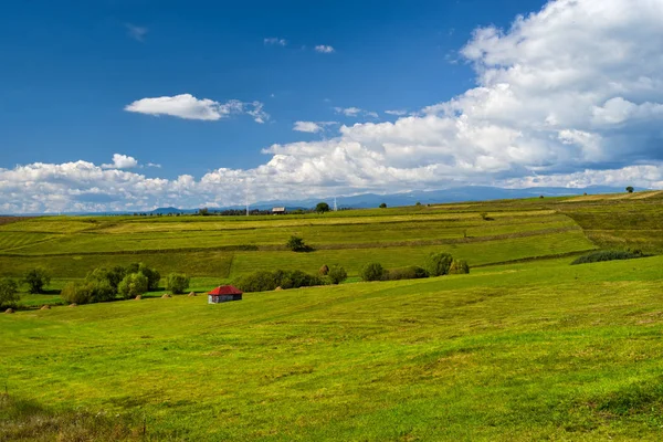 Paesaggio Rurale Estivo Con Erba Appena Tagliata — Foto Stock