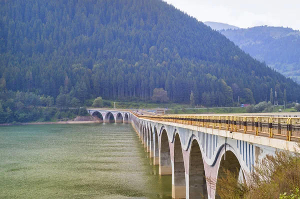 Каменный Мост Через Зеленую Реку Вечнозеленый Лес Позади — стоковое фото